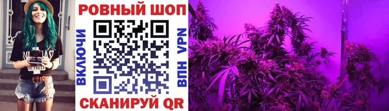 Где купить наркоту Микунь ГАШИШ Cocaine Лсд 25 МАРИХУАНА МЕФ