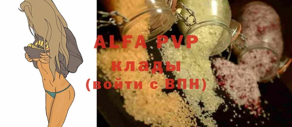 шишки Абаза