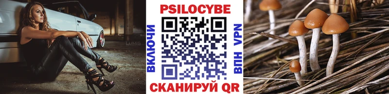 Псилоцибиновые грибы прущие грибы Микунь